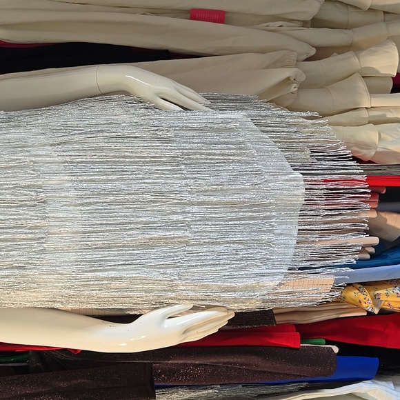Silver Fringe Dress - Picture 4 of 6